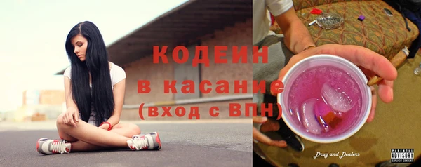 прущий лед Алзамай