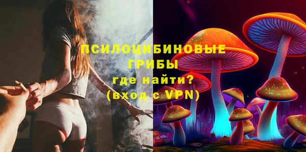 прущий лед Алзамай