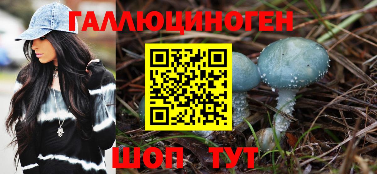 Псилоцибиновые грибы Magic Shrooms  Вход с VPN  Апшеронск  Галлюциногенные грибы Psilocybe 